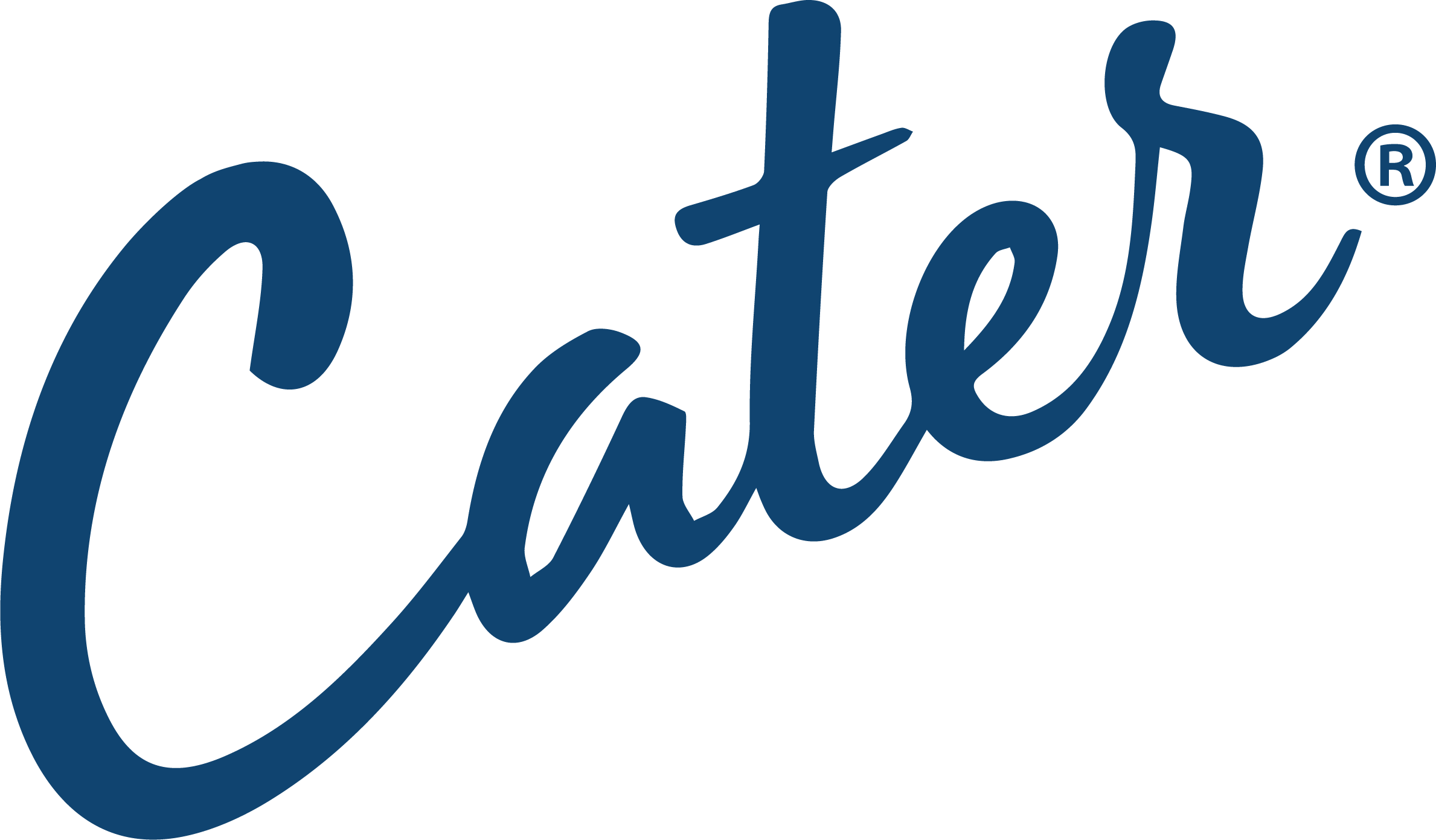 Blue LOGO